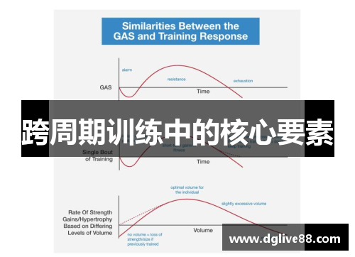 跨周期训练中的核心要素
