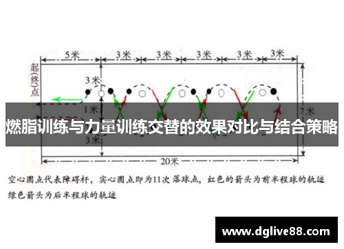 燃脂训练与力量训练交替的效果对比与结合策略