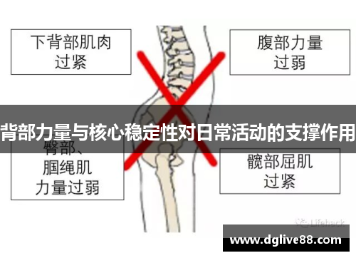 背部力量与核心稳定性对日常活动的支撑作用